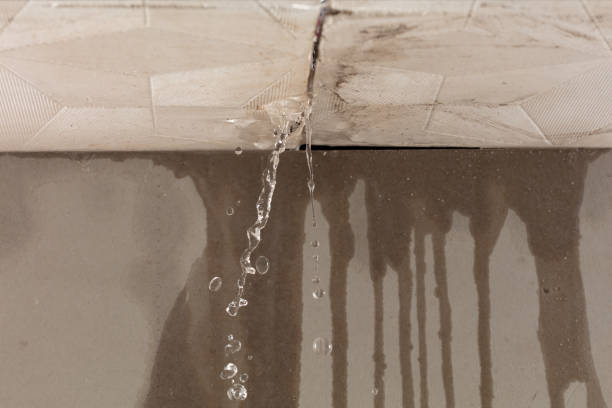 Professional Structural Drying technician working in Sussex, WI